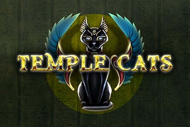 Templecats автомат Бип Бип Казино